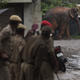 Indian police officials watch the confused wild male elephant walk in a compound on the outskirts of Guwahati.
